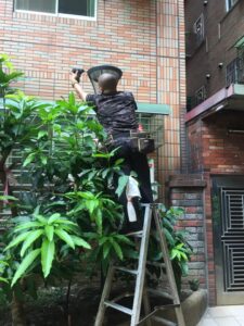 壁燈安裝,柱燈安裝,LED燈泡